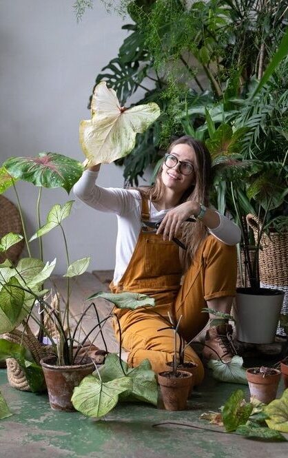 Femme entretien caladium